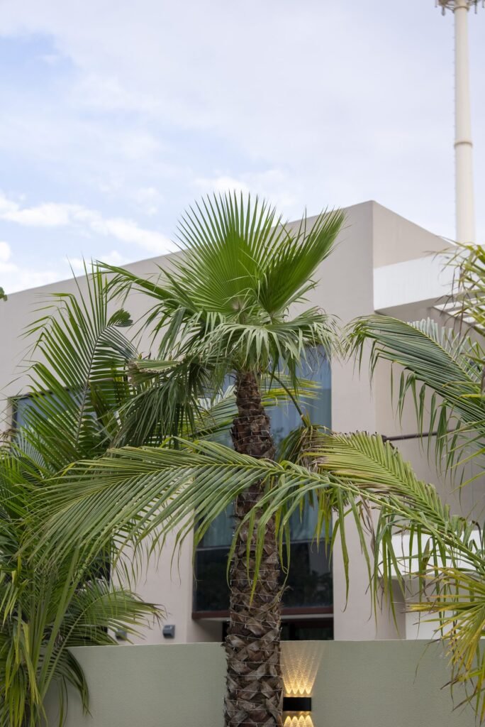 Dubai Hills Piccadilly Signature Pool Dubai Hills Estate — Piccadilly — photo 11